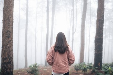 Yolcu ormanda yürüyor, arka tarafta.
