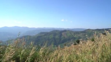 Manzara görüntüleri. Doi Chang Chiang Rai Tayland 'da dağ ve mavi gökyüzü