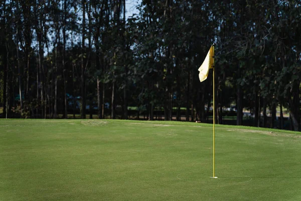 Buraco Golfe Grama Verde Conceito Esporte — Fotografia de Stock