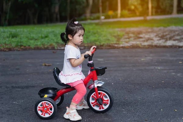 Cute Children Riding Bike Kids Enjoying Bicycle Ride — Stock Photo, Image