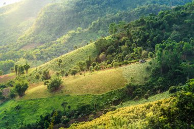 Yaz dağları yeşil çimenler ve mavi gökyüzü manzarası