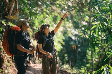 Canlı orman patikalarını keşfeden iki yürüyüşçü, bereketli yeşilliklerle çevrili, doğanın dokunulmamış cennetinde güneşli bir günün tadını çıkarırken ilginç bitkilere işaret ediyorlar.
