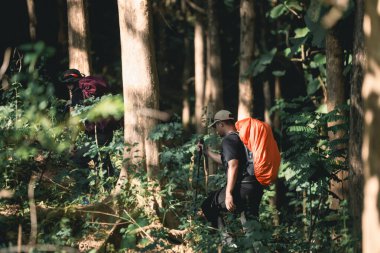 Bereketli Orman 'da Yürüyüş, Parlak Sırt Çantası ile Maceralı Yolculuk, Sıcak Güneşli Bir Gün' de Doğayı Keşfetmek, Manzarada Açık Hava Aktiviteleri