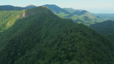 Güneşli bir günde Berrak Mavi Gök altında Rolling Hills ve Yoğun Orman ile yemyeşil Dağ manzarası