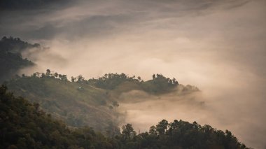 Yuvarlanan Tepeler 'in sakin manzarası Şafakta Pusla kaplı Yumuşak Işık Kırsal bir ortamda Rüya gibi bir atmosfer yaratıyor