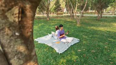 Genç bir çift sakin bir parkta piknik battaniyesinde huzurlu bir öğleden sonranın tadını çıkarıyor, yemyeşil ve doğal güzelliklerle çevrili, müzik aletleriyle.
