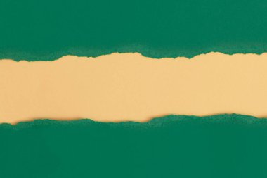 Sarı arkaplanı olan metin için alanı olan yeşil yırtık kağıt