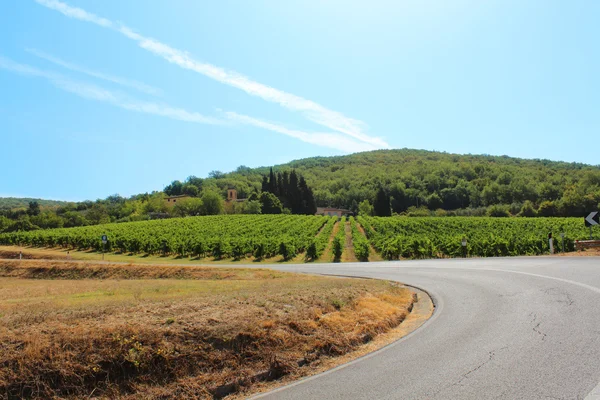 Chianti peyzaj