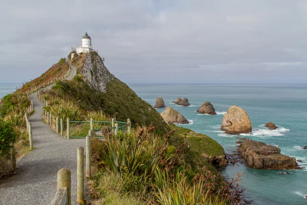 Nugget point med fyren. Royaltyfria Stockbilder