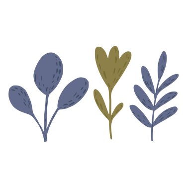 Dal ve çiçek beyaz arka planda izole edilmiş. İskandinav botanik el çizimi stil karalama vektörü çizimi