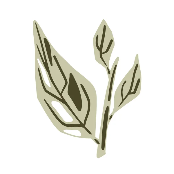 Listoví Větvemi Izolovanými Bílém Pozadí Skandinávská Botanická Kresba Ručně Nakreslená — Stockový vektor