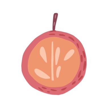 Yarım kırmızı dallı ve yapraksız elma beyaz arka planda izole edilmiş. Elle çizilmiş tohumlu elma çizimi çizim biçimi.