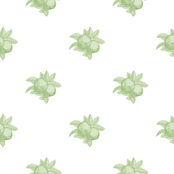 Зеленые Яблоки Бесшовный Узор Белом Фоне Винтажные Ботанические Обои Ручной — стоковый вектор