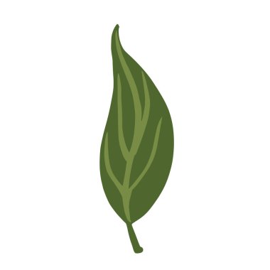 Yaprak yeşili, beyaz arkaplanda izole edilmiş. İskandinav botanik el çizimi stil karalama vektörü çizimi