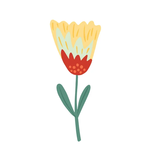 Květina Větvičce Listy Izolovanými Bílém Pozadí Abstraktní Botanická Žlutá Červená — Stockový vektor
