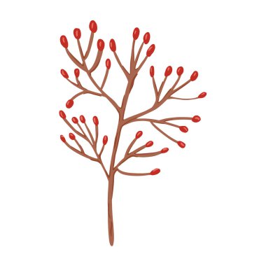 Dal üzerindeki böğürtlenler beyaz arka planda izole edilmiş. Soyut botanik böğürtlen kırmızısı çizim el çizimi stil karalama vektör çizimi.