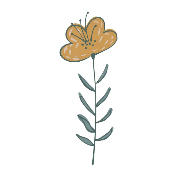 Flor Isolada Sobre Fundo Branco Abstract Botanical Sketch Amarelo Verde —  Vetores de Stock