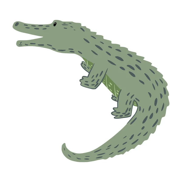 Krokodyl Wznosi Się Białym Tle Zabawna Postać Kreskówki Dzikiej Przyrody — Wektor stockowy