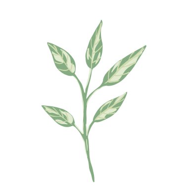 Beyaz arka planda izole edilmiş dallardaki yapraklar. Elle çizilmiş vektör illüstrasyonunda İskandinav botanik yeşili çizimi.