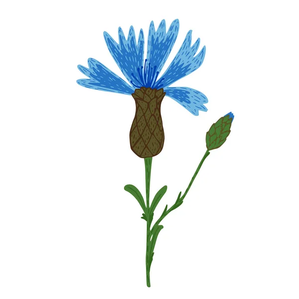 Blåklint Isolerad Vit Bakgrund Abstrakt Blomma Blå Färg Klotter Stil — Stock vektor