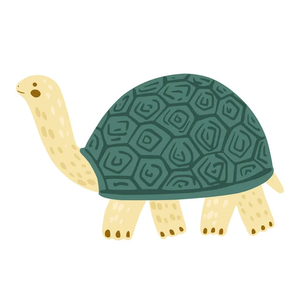 Turtle Isolated White Background Cute Cartoon Character Tortoise Doodle Vector — Archivo Imágenes Vectoriales