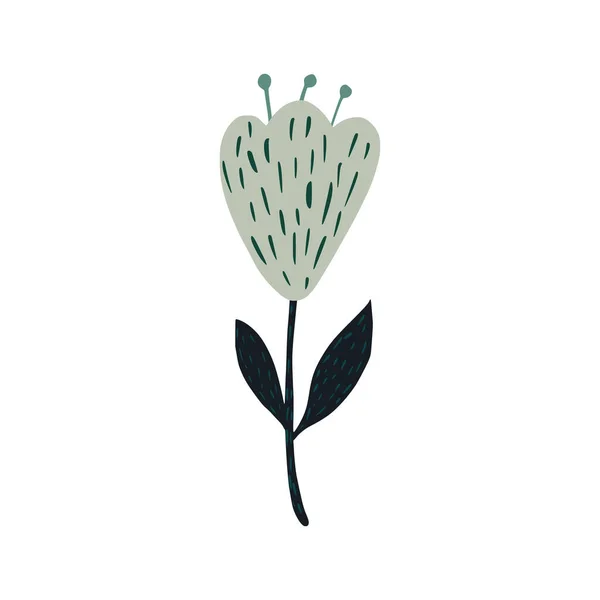 Flor Isolada Sobre Fundo Branco Resumo Esboço Botânico Escandinavo Ilustração —  Vetores de Stock