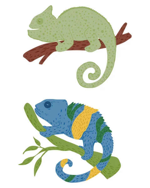 Set Chameleons Twigs Isolated White Background Hand Drawn Cute Wildlife — Stockvector