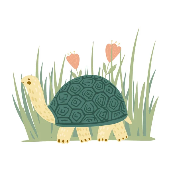 Tortuga Composición Con Hierba Flores Aisladas Sobre Fondo Blanco Lindo — Vector de stock