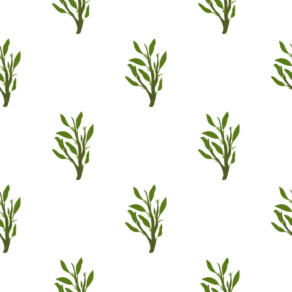 Isolerat Minimalistiskt Botaniskt Sömlöst Mönster Med Gröna Bladgrenar Enkla Blad — Stock vektor