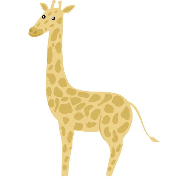 Girafa Comprimento Total Isolado Sobre Fundo Branco Caráter Bonito Safari — Vetor de Stock