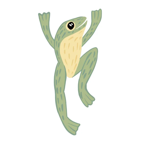 白い背景に孤立したカエル 可愛いキャラクターがポーズをとった 緑の熱帯水の爬虫類 落書きベクトルイラスト — ストックベクタ