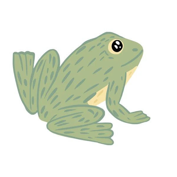 白い背景に孤立したカエル かわいいキャラクターが背中に座っている 緑の熱帯水の爬虫類 落書きベクトルイラスト — ストックベクタ