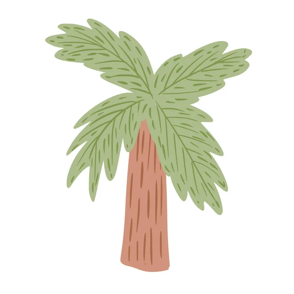 Palmboom Geïsoleerd Witte Achtergrond Abstracte Tropische Plant Met Groen Blad — Stockvector