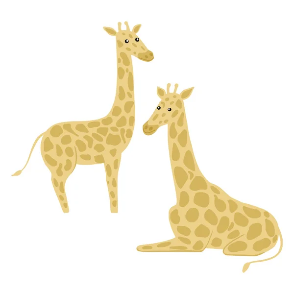 Ensemble Girafes Isolées Sur Fond Blanc Mignon Personnage Assis Pleine — Image vectorielle