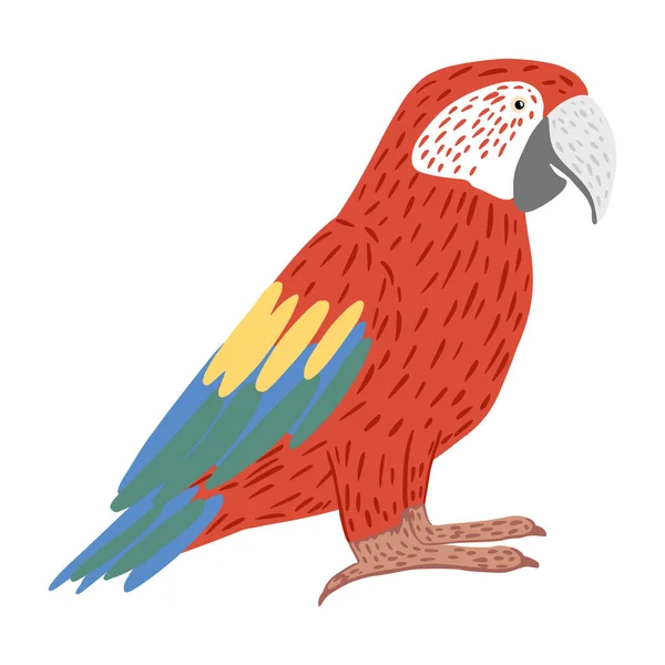 白の背景に隔離されたオウムのアラ カラフルな熱帯のキャラクター鳥 落書きベクトルイラスト — ストックベクタ