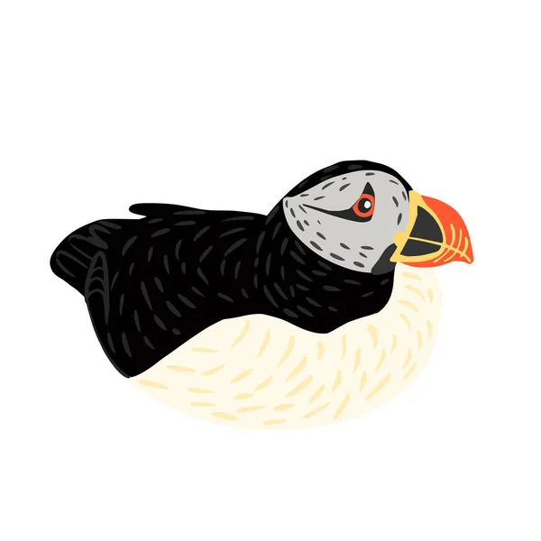눈새는 바탕에 귀여운 바닷새는 옆에서 검은색과 흰색을 오렌지색 부리와 다리를 — 스톡 벡터