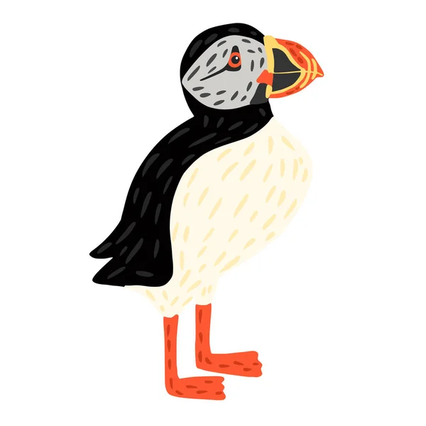 눈새는 바탕에 고립되어 귀여운 바닷새는 옆에서 검은색과 흰색을 오렌지색 부리와 — 스톡 벡터