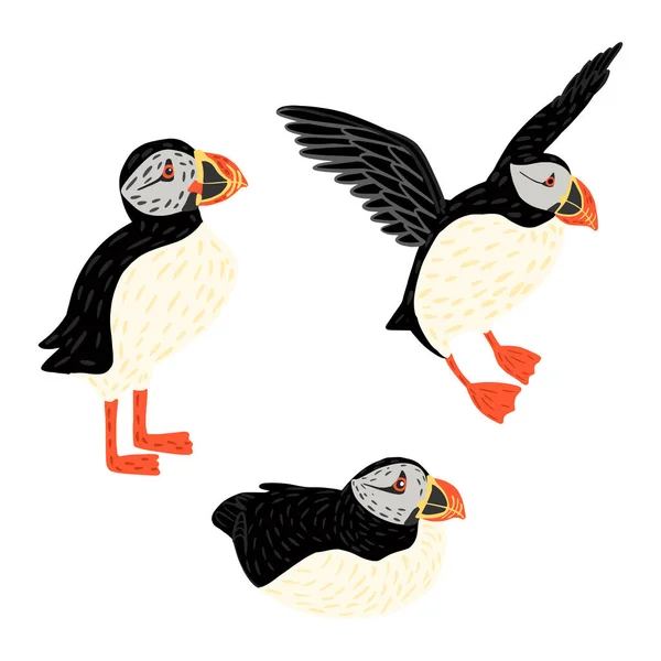 Puffins Geïsoleerd Witte Achtergrond Leuke Zeevogels Verschillende Houdingen Zitten Staan — Stockvector