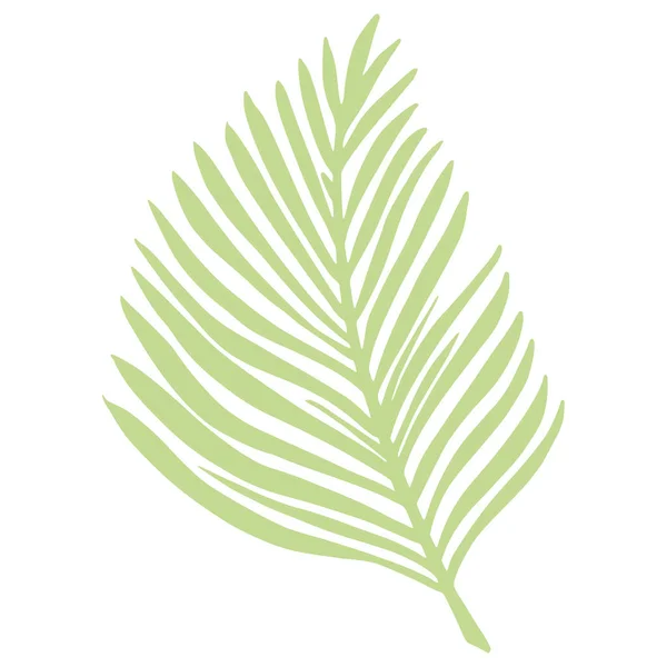 Beyaz Arka Planda Yalıtılmış Tropik Palmiye Yaprağı Soyut Botanik Element — Stok Vektör