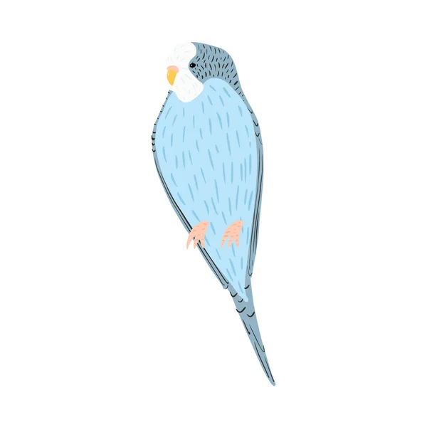 Kék Papagáj Elszigetelt Fehér Háttérrel Aranyos Trópusi Karakter Madár Doodle — Stock Vector