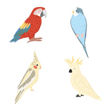 Papağanları beyaz arkaplanda izole et. Sevimli karakterler papağan, ara, muhabbet kuşu, corella. Renkli tropikal kuşlar. Doodle vektör illüstrasyonu.