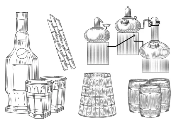 Установите Алкоголь Cachaca Стиле Дудл Белом Фоне Стекло Бутылка Тростниковый — стоковый вектор