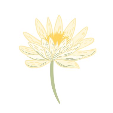 Flower lotus isolated on white background. Beautiful hand drawn botanical sketches for any purpose. Design vector illustration.