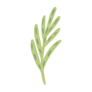 Twig rosemary isolated on white background. Cute hand drawn botanical sketch for any purpose. Design vector illustration.
