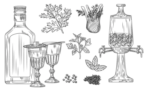 Set of absinthe. Cocktail glass and bottle, spoon, sugar, fountain, wormwood, fennel, parsley, dill, mint, coriander anise ice Engraving vintage style vector illustration