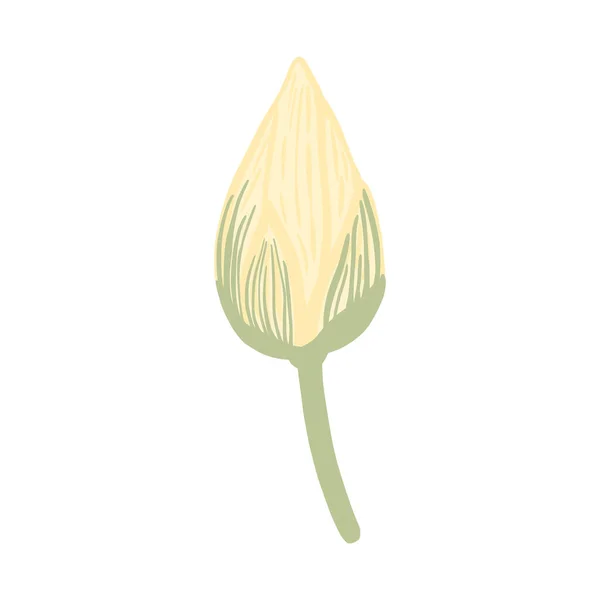 Bud Lotus Izolovaný Bílém Pozadí Krásné Ručně Kreslené Botanické Náčrty — Stockový vektor