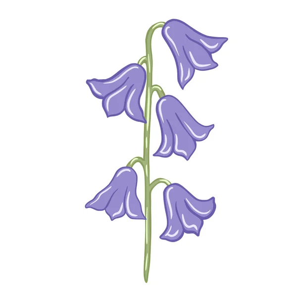 Campanas Azules Púrpuras Aisladas Sobre Fondo Blanco Hermosos Bocetos Botánicos — Archivo Imágenes Vectoriales