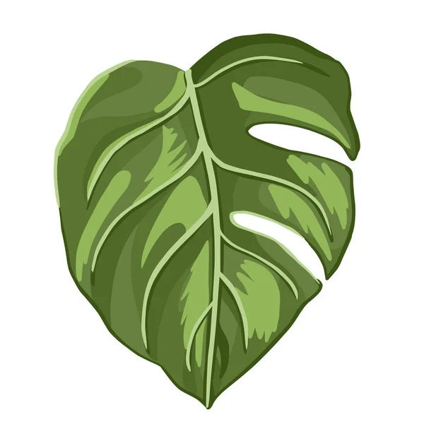 白い背景に葉の怪物 ヴィンテージ抽象的なスケッチ葉緑の色 ベクターイラストデザイン — ストックベクタ