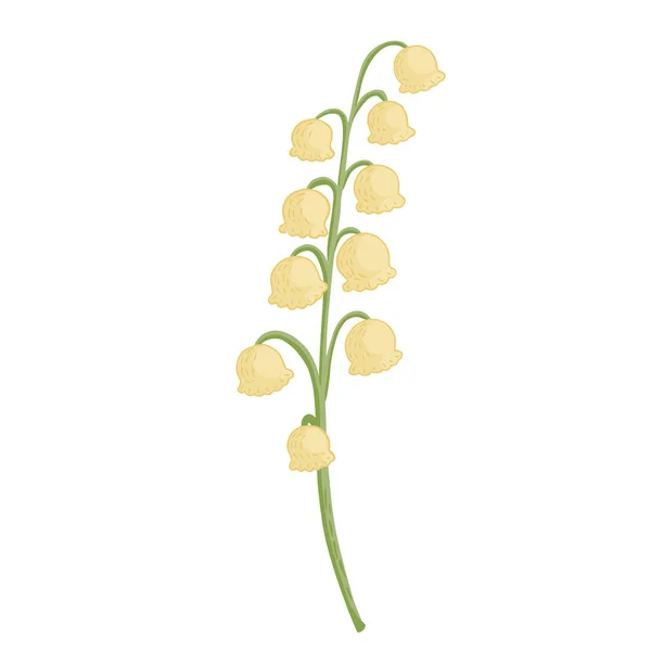 白い背景に孤立した谷の花ユリ どんな目的のためにも美しい手描きの植物スケッチ デザインベクトルイラスト — ストックベクタ