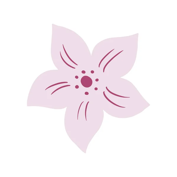 Tropické Růžové Květy Izolované Bílém Pozadí Romantický Ručně Kreslený Květ — Stockový vektor